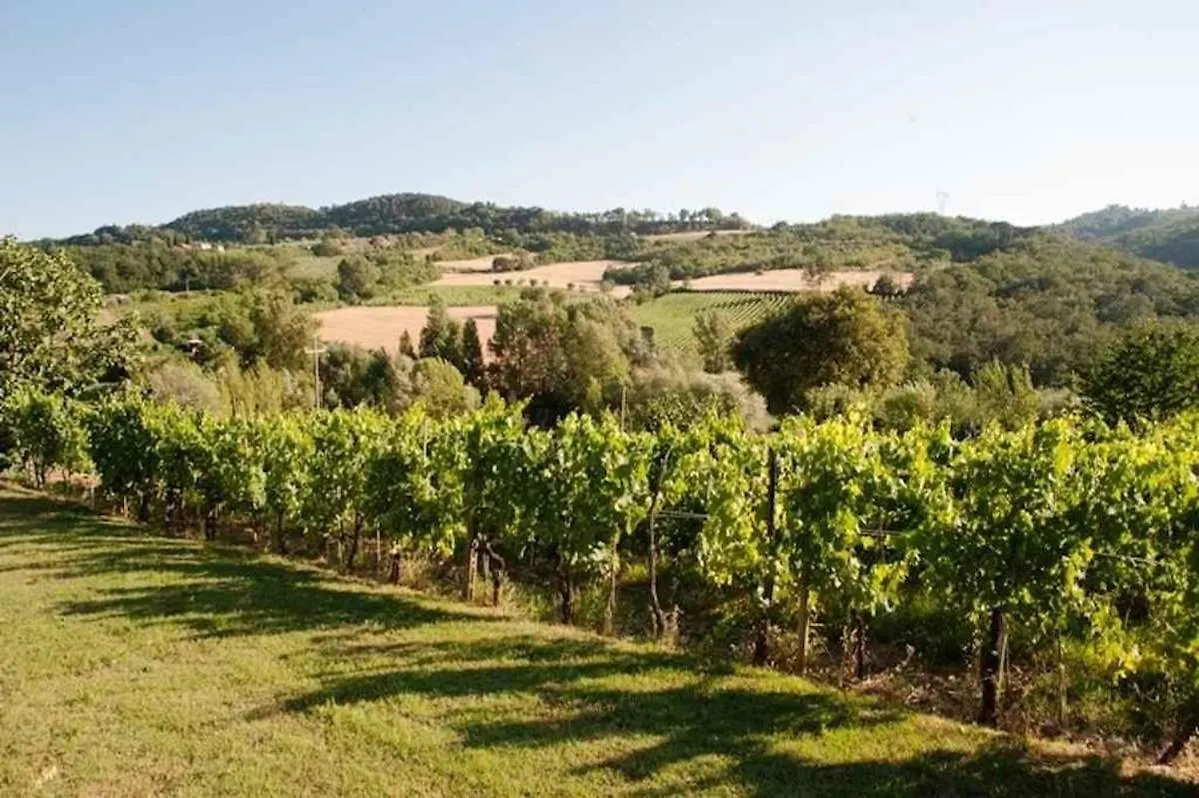 I Borghi Villa San Gimignano